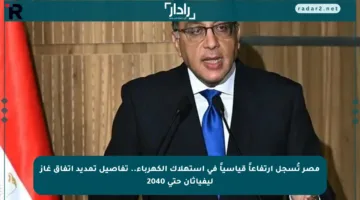 مصر تُسجل ارتفاعاً قياسياً في استهلاك الكهرباء.. تفاصيل تمديد اتفاق غاز ليفياثان حتى 2040